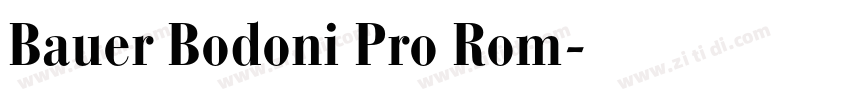 Bauer Bodoni Pro Rom字体转换
